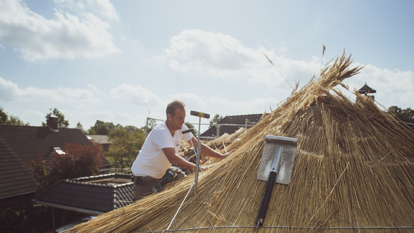 Tijs Willemsen aan het werk op een rieten dak, met een bos riet in zijn handen