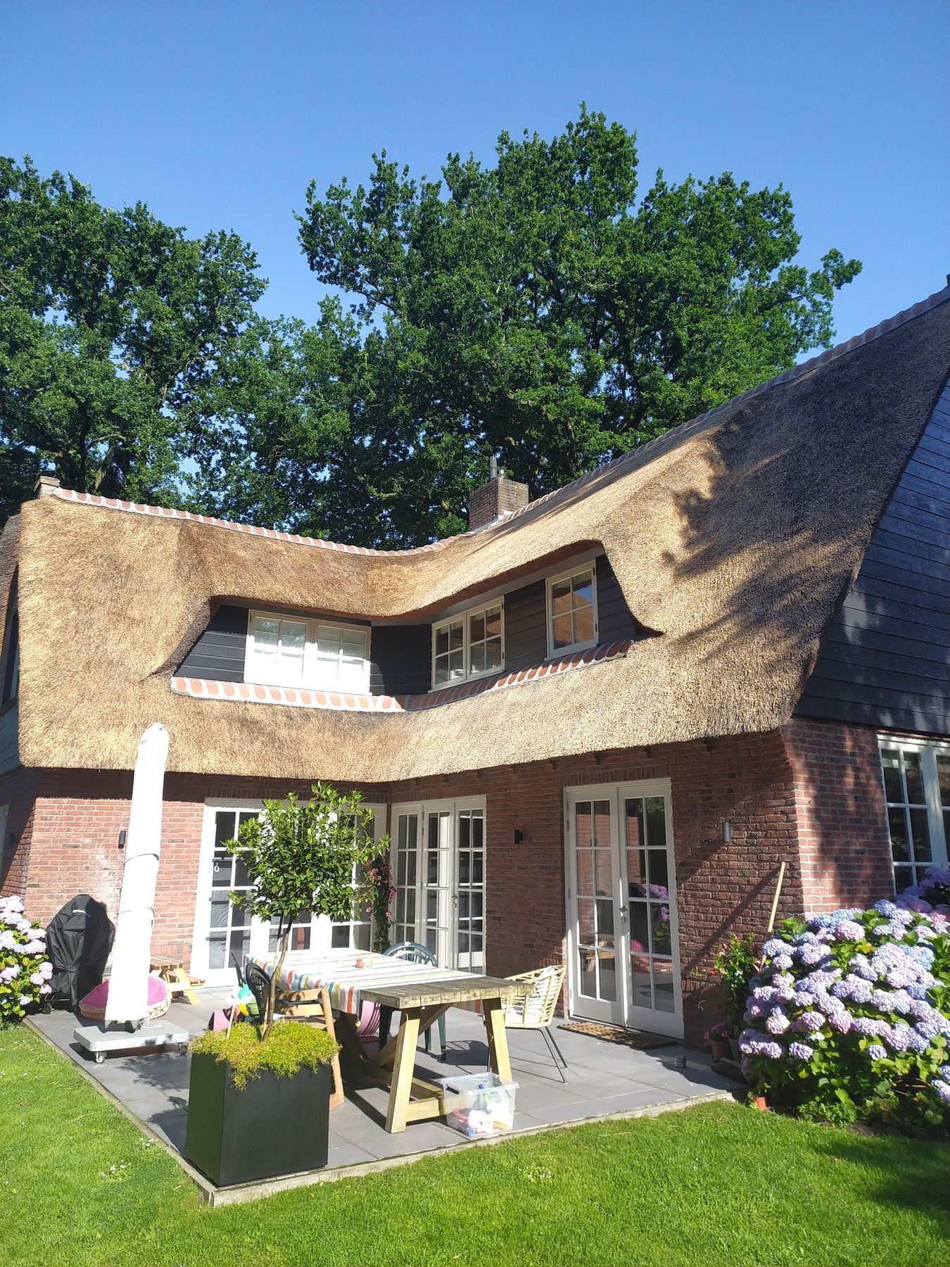 Villa met een vers gedekt rieten dak en dakkapellen, in een tuin met hortensia's